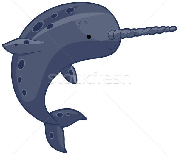 600x520 Narwhal Vector Illustration Lenm