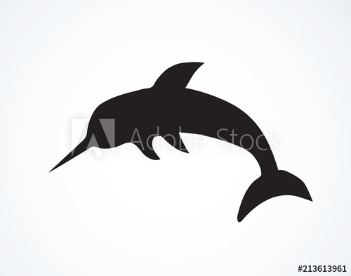500x393 Narwhal Vector Drawing