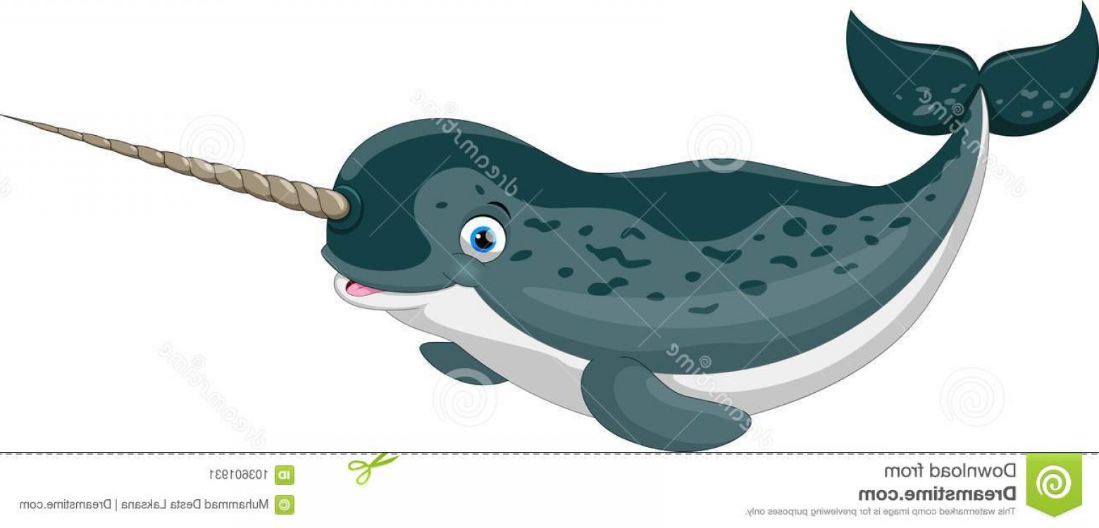 1560x750 Vector Narwhal Hoodamath