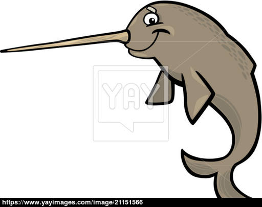 512x405 Cartoon Narwhal Vector