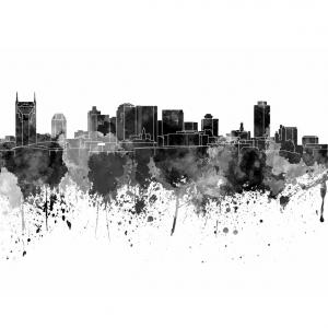 Nashville Tennessee Usa Skyline Vector Art Soidergi 300x300 Nashville Tennessee Usa Skyline Vector Art Soidergi