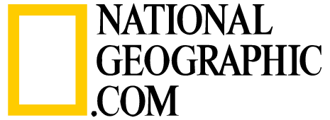 Nat Geo Logo Vector at Vectorified.com | Collection of Nat Geo Logo ...