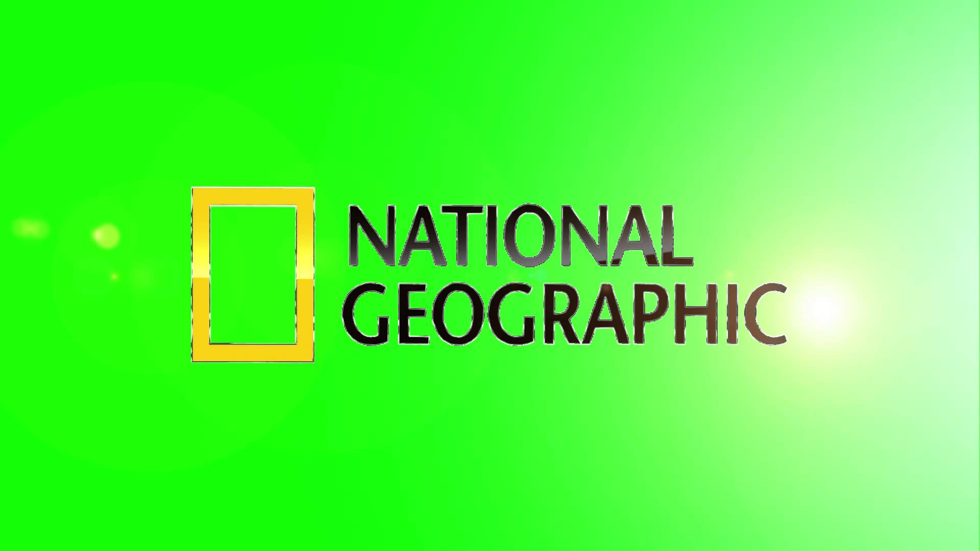 National Geographic Logo Vector at Vectorified.com | Collection of