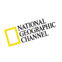 200x200 N Vector Logos, Brand Logo, Company Logo