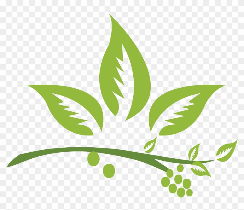 840x724 Home Natural Herbal Hair