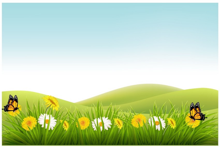 850x570 How To Draw A Nature Background In Adobe Illustrator Using