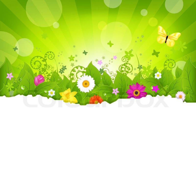 800x800 Nature Background With Flowers, Stock Vector Colourbox