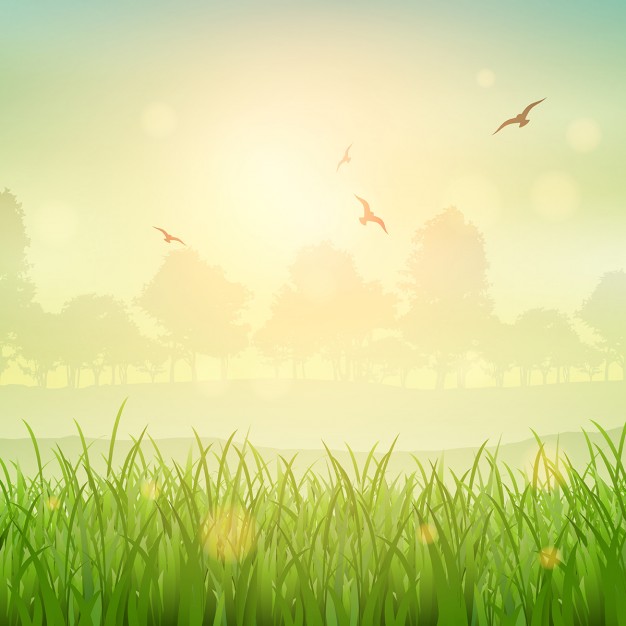 626x626 Nature Background Of A Grassy Landscape Vector Free Download