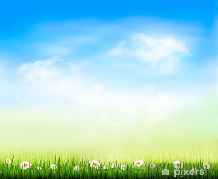 700x574 Nature Background Vector Illustration Wall Mural