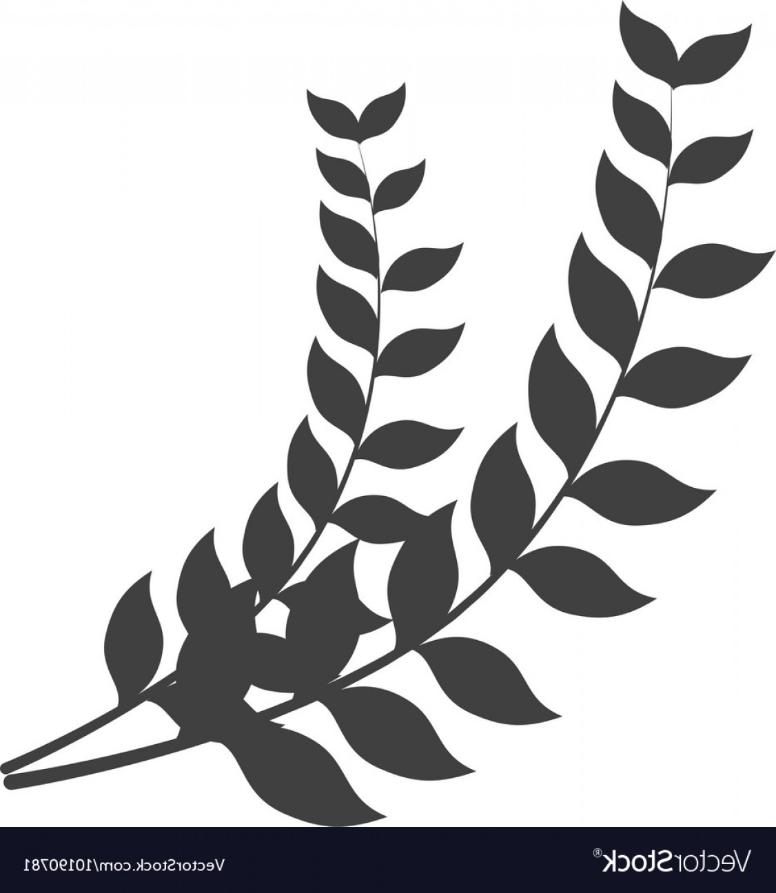 1126x1296 Laurel Branch Nature Icon Graphic Vector Soidergi
