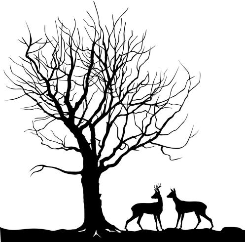 Nature Silhouette Vector