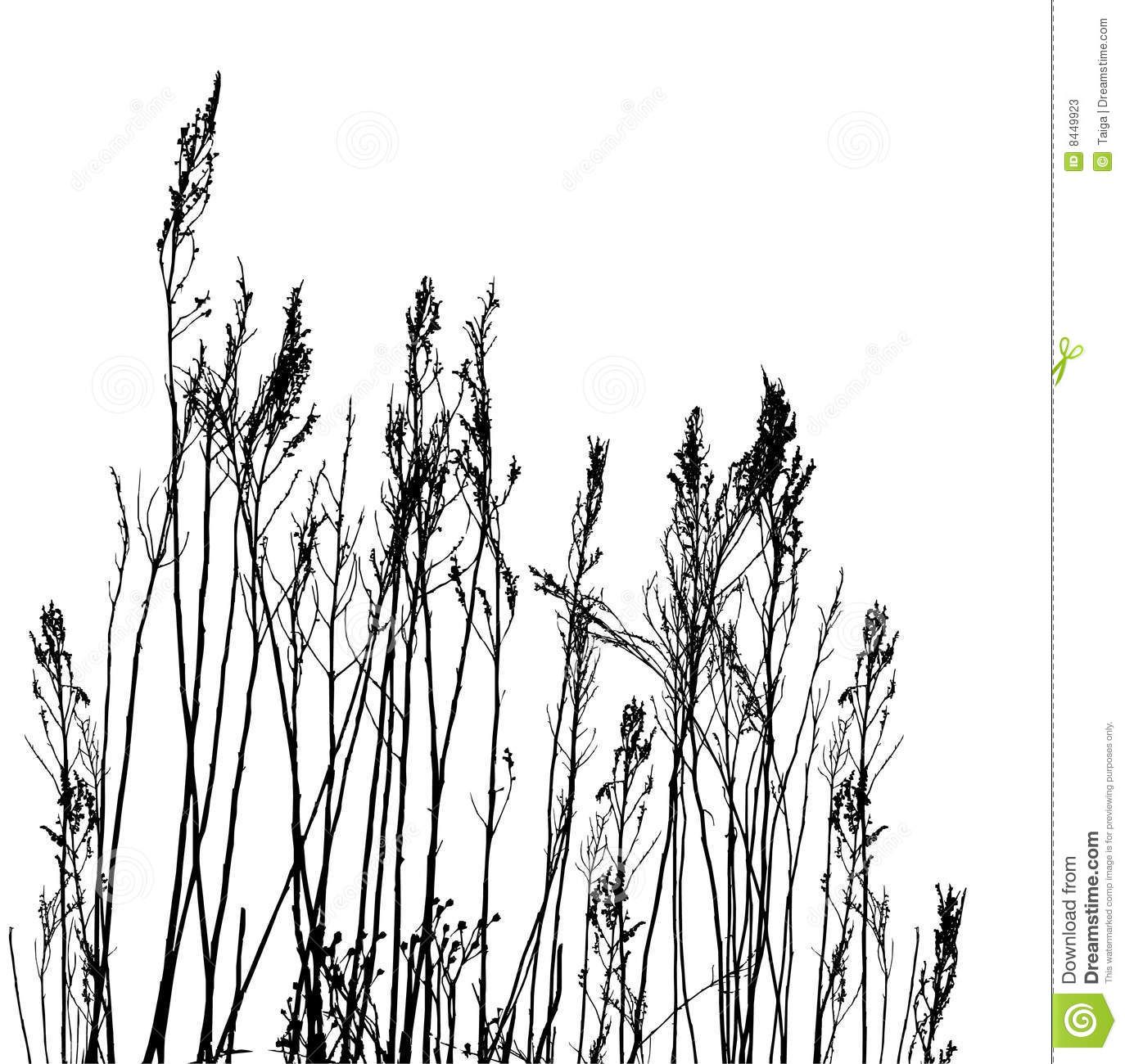 1374x1300 Nature Silhouette