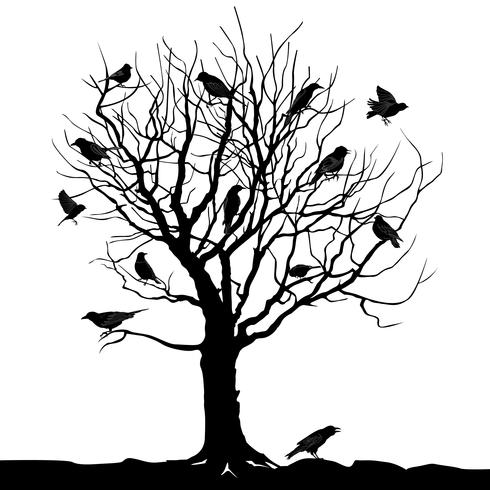 490x490 Birds Over Tree Forest Landscape Wild Nature Silhouette