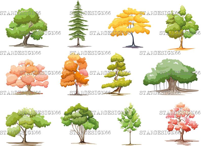 794x578 Digital Png Trees Oak Lone Nature Vector Clipart Etsy