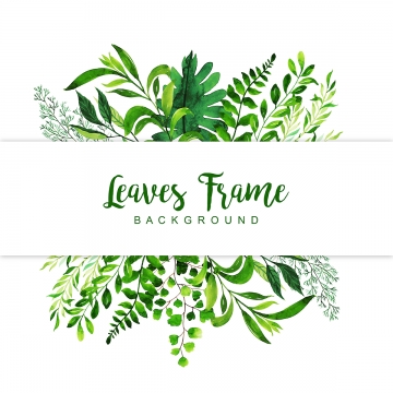 360x360 Nature Vector, Free Download Nature Background, Nature Vector