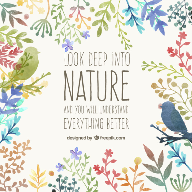 626x626 Hand Painted Nature Card Vector Free Download
