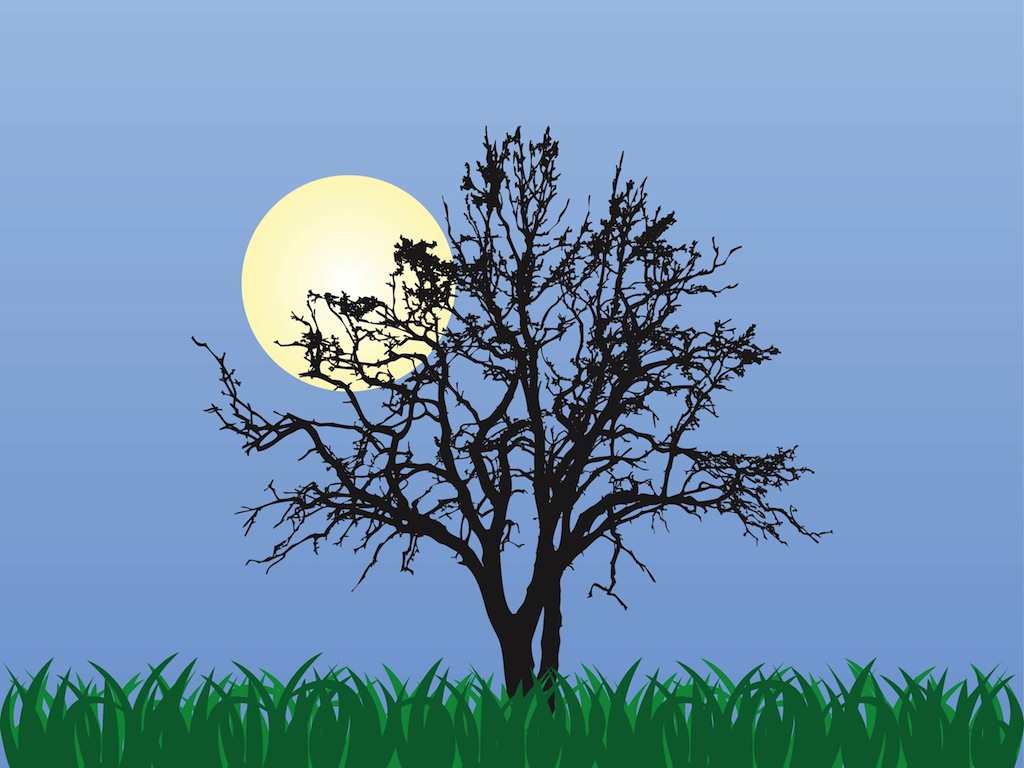 1024x768 Nature Vector