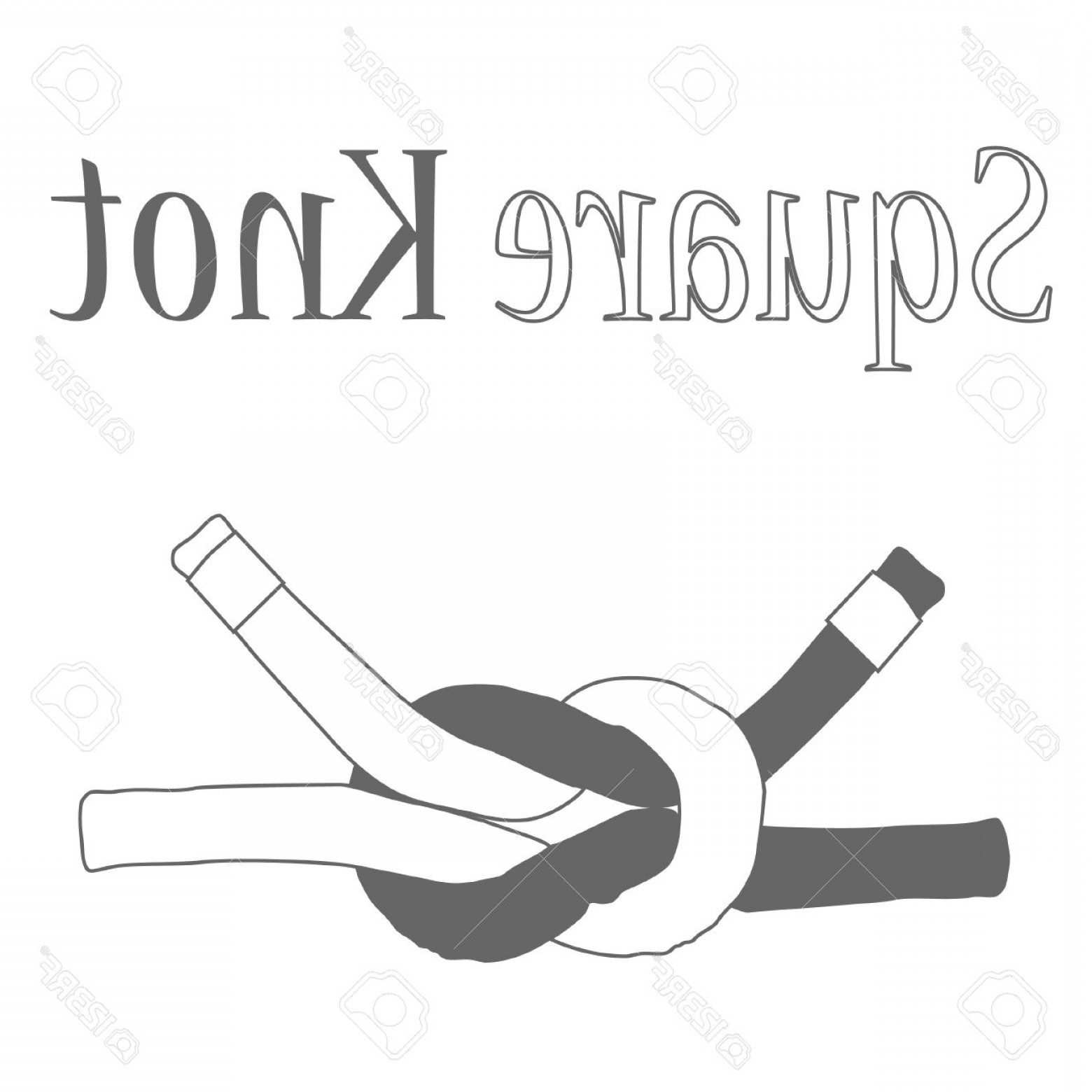 1560x1560 Nautical Knot Vector Lamaison