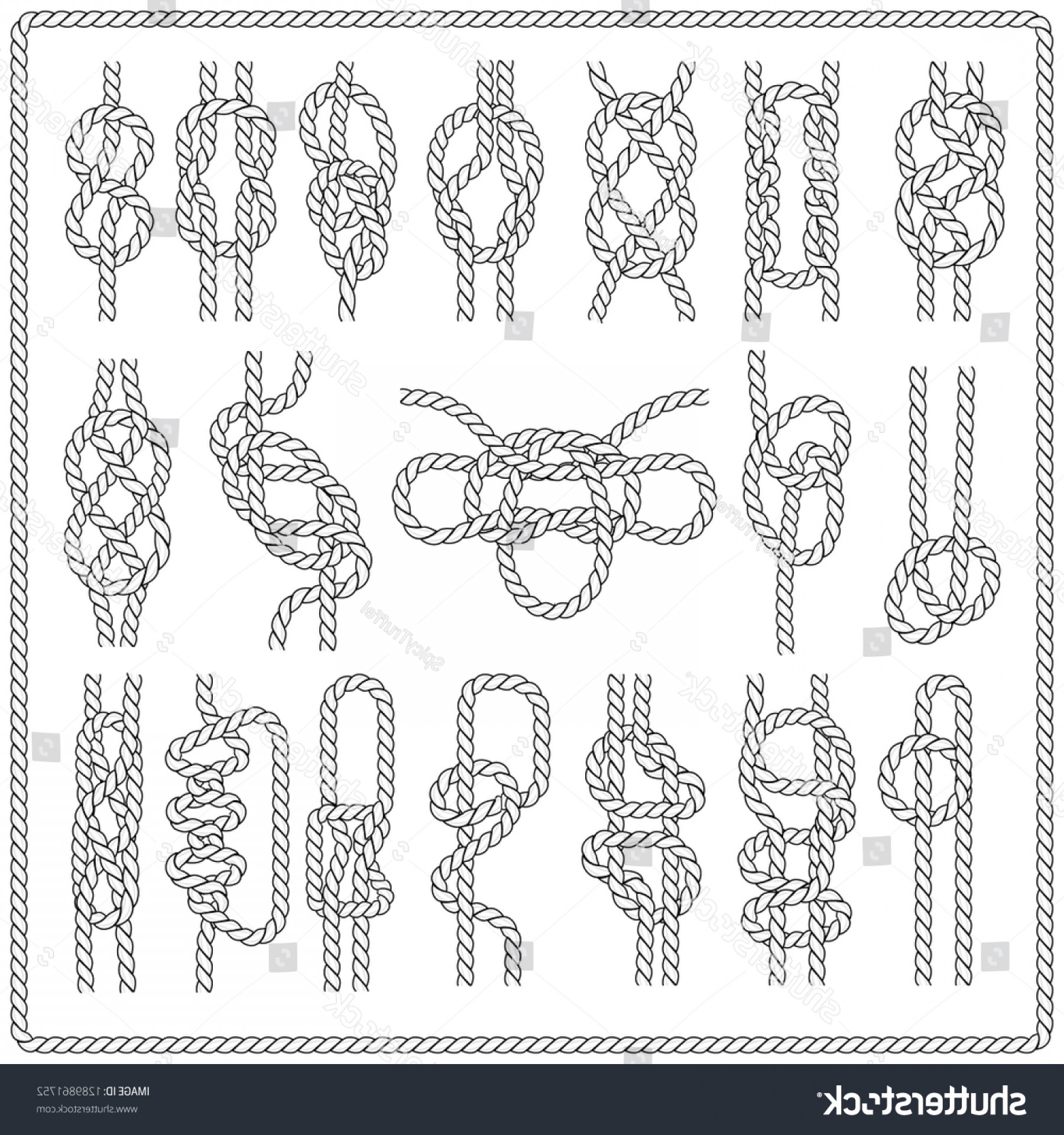 1800x1920 Nautical Knot Vector Lamaison