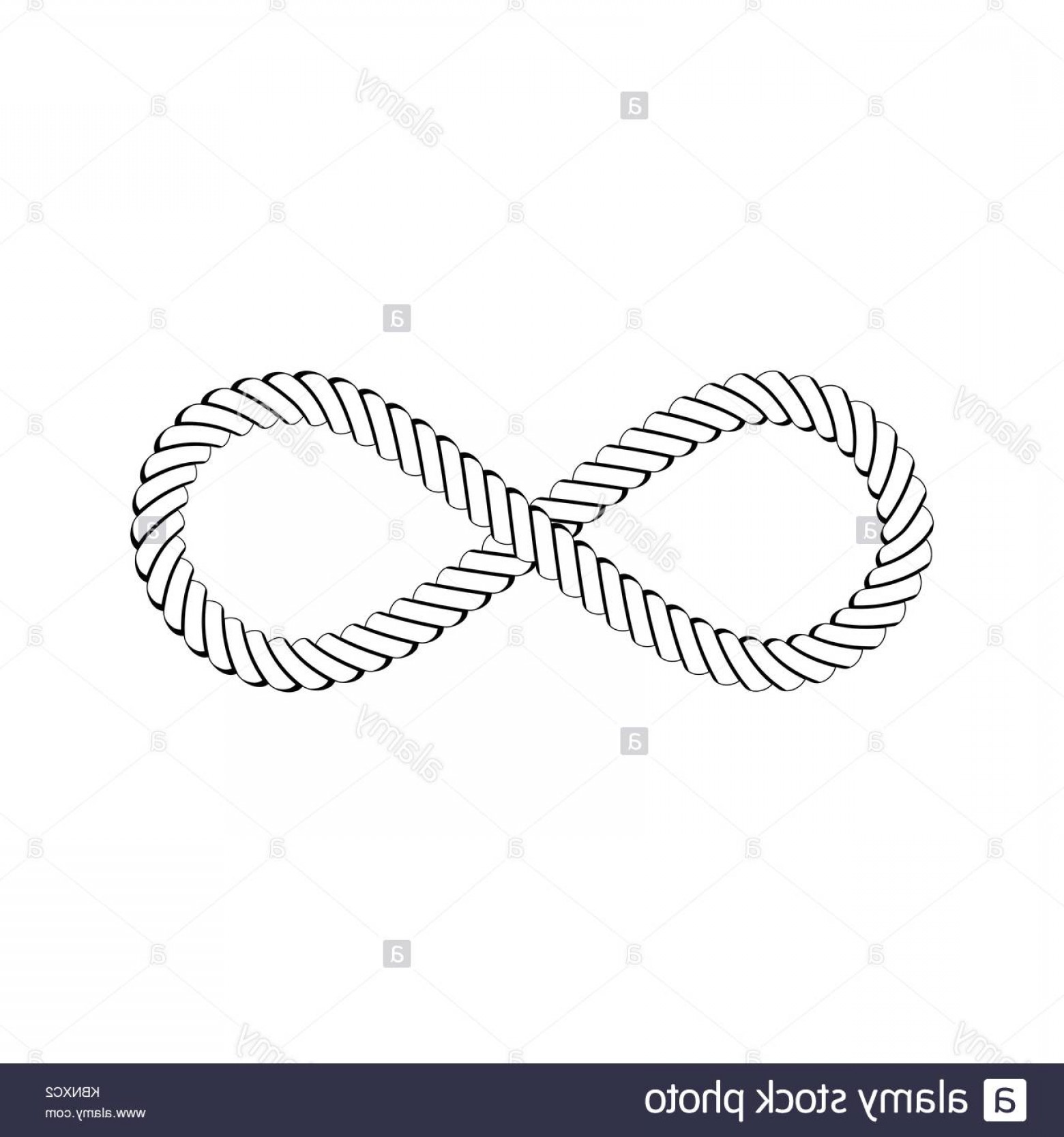 1560x1668 Stock Image Vector Illustration Nautical Rope Knots Decorative