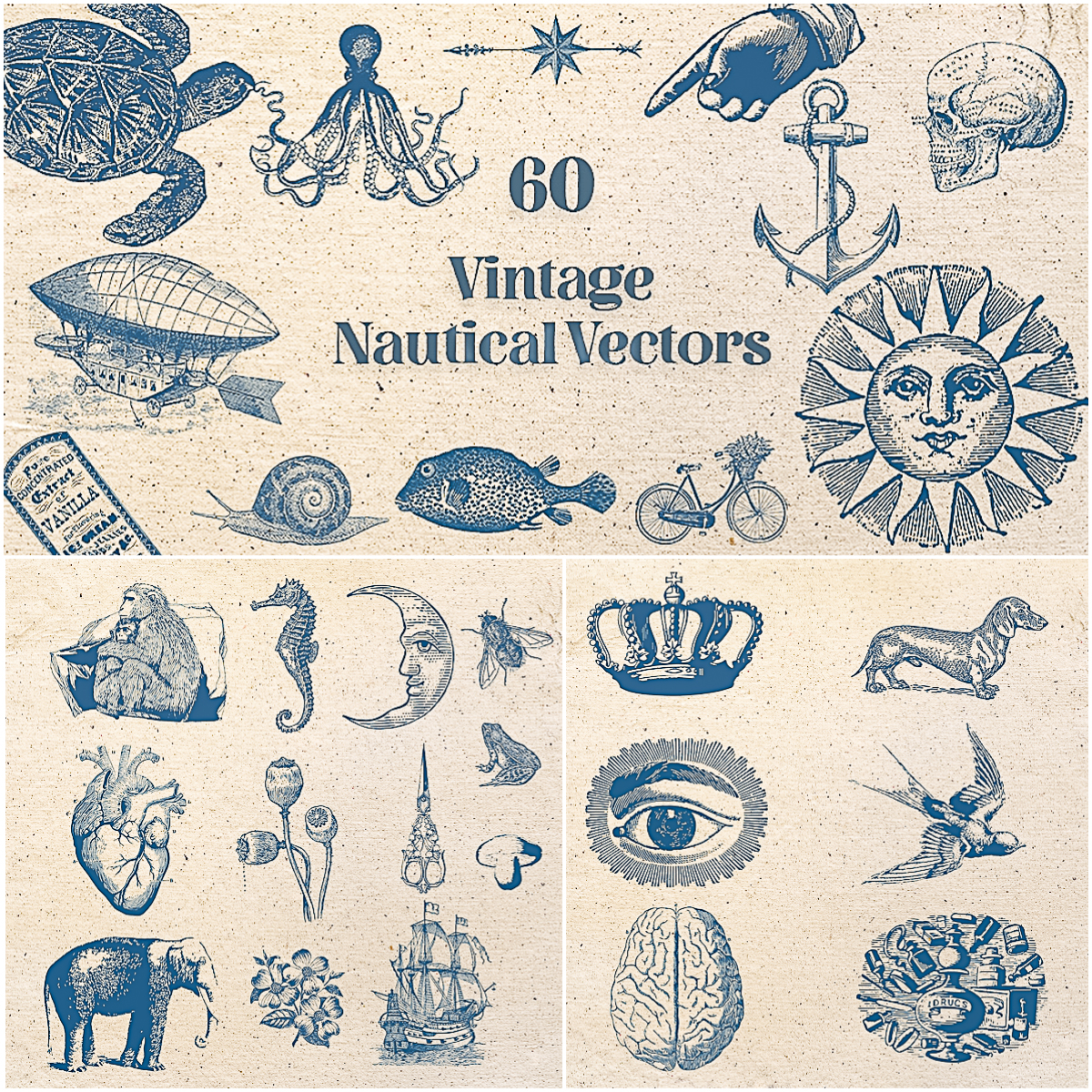 1200x1200 Vintage Nautical Vectors Free Download