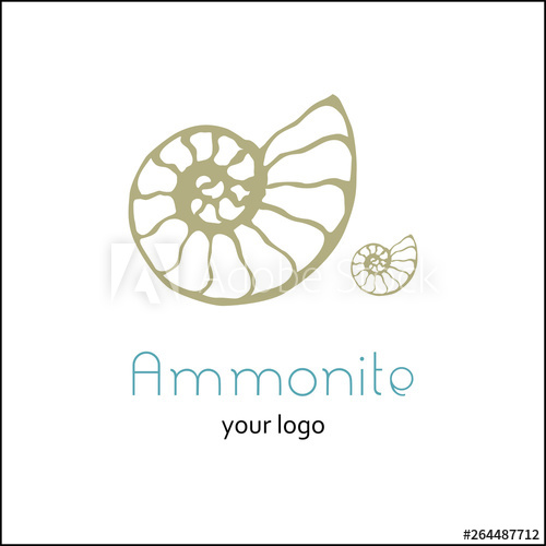 500x500 Fossil Ammonite Nautilus Seashell Vector Logo Hand Drawn