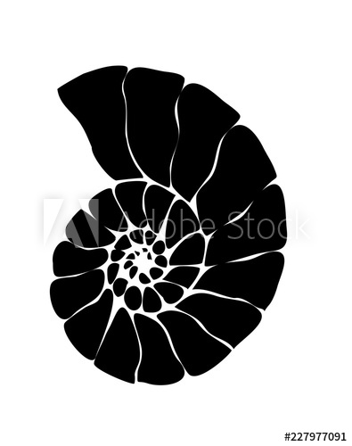 395x500 Logo Nautilus From Triangles Black And White Nautilus Shell