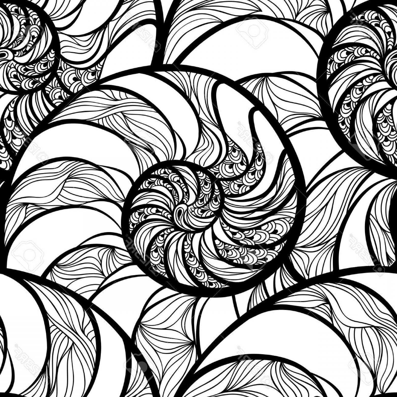 1560x1560 Nautilus Geometry Vector Catchsplace