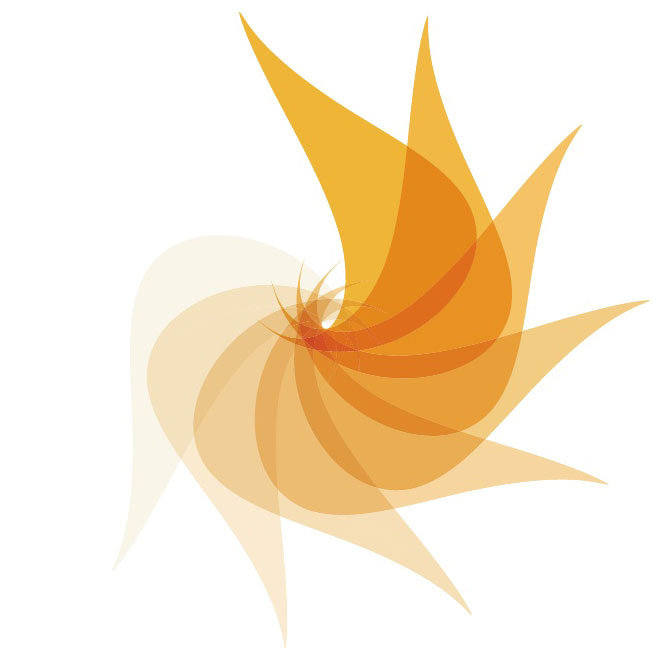 660x660 Nautilus Company Logo