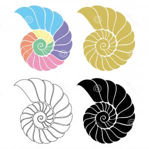 300x300 Photostock Vector Vector Illustration With Seashell Nautilus