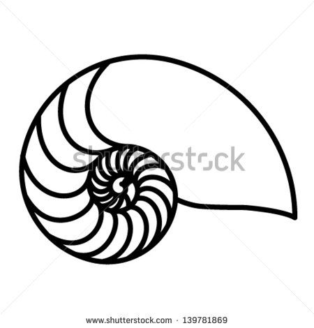 450x470 Vector Nautilus Shell Free Vector Download