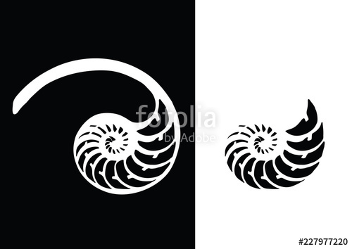 500x354 Black And White Nautilus Shell Striped Tri Cut Vector