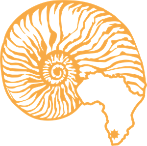 300x297 Canon Shell Logo Vector