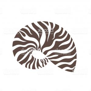 Doodle Character For Chambered Nautilus Vector Soidergi 300x300 Doodle Character For Chambered Nautilus Vector Soidergi
