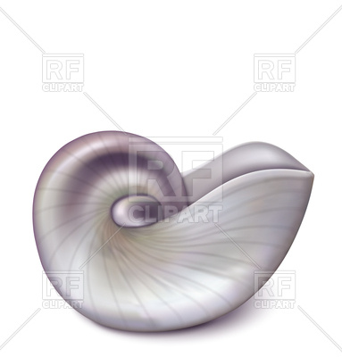383x400 Nautilus Sea Shell Vector Image Of Plants And Animals Olliven