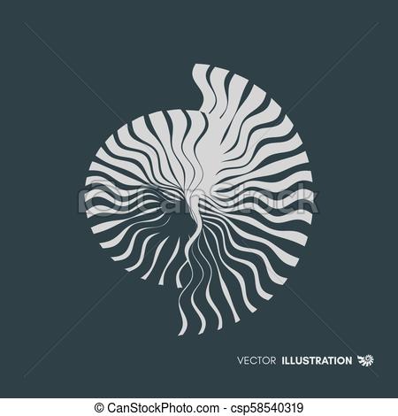 450x470 Nautilus Shell Abstract Design Element Vector Illustration