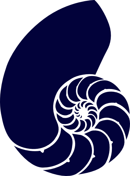 438x595 Navy Blue Nautilus Shell Clip Art