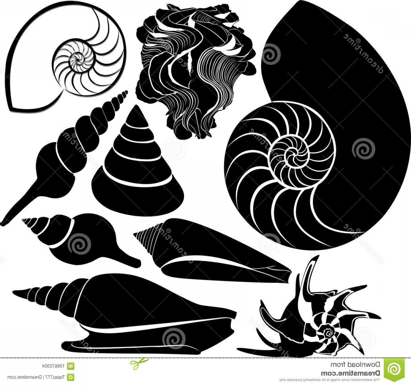 1560x1464 Sea Shell Vector Silhouette Nautilus Sea Fauna Ocean Aquatic