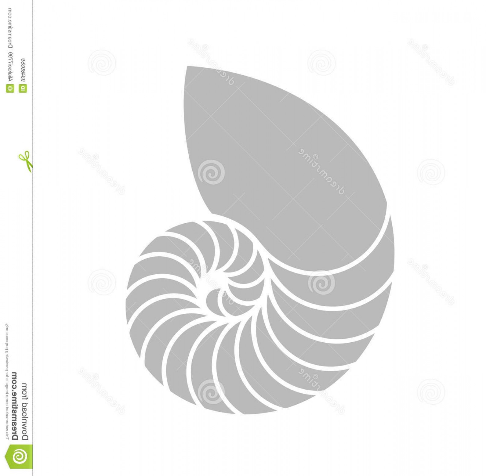 1592x1560 Stock Illustration Nautilus Shell Vector Illustration Image
