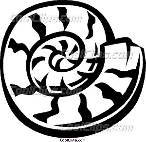 300x293 Nautilus Shell Vector Clip Art