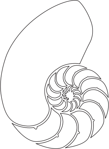 358x488 Download Free Png Nautilus Shell