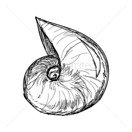 450x450 Free Nautilus Shell Stock Vectors Stockunlimited