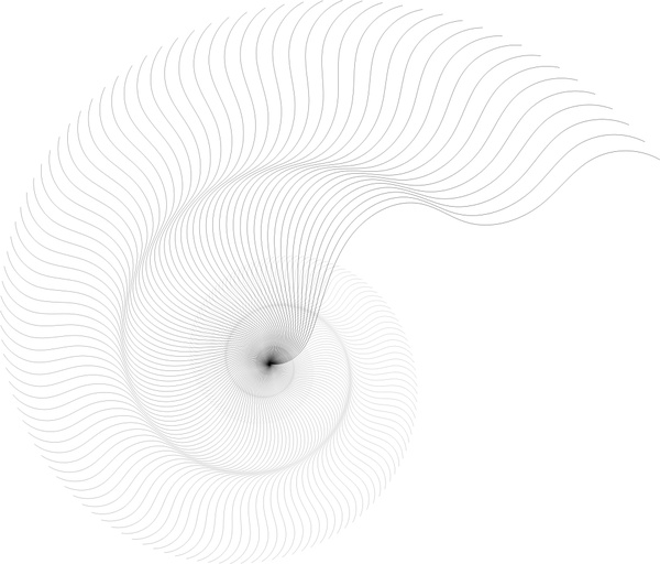 600x512 Abstract Nautilus Sketch Vector Illustration In Black White Free
