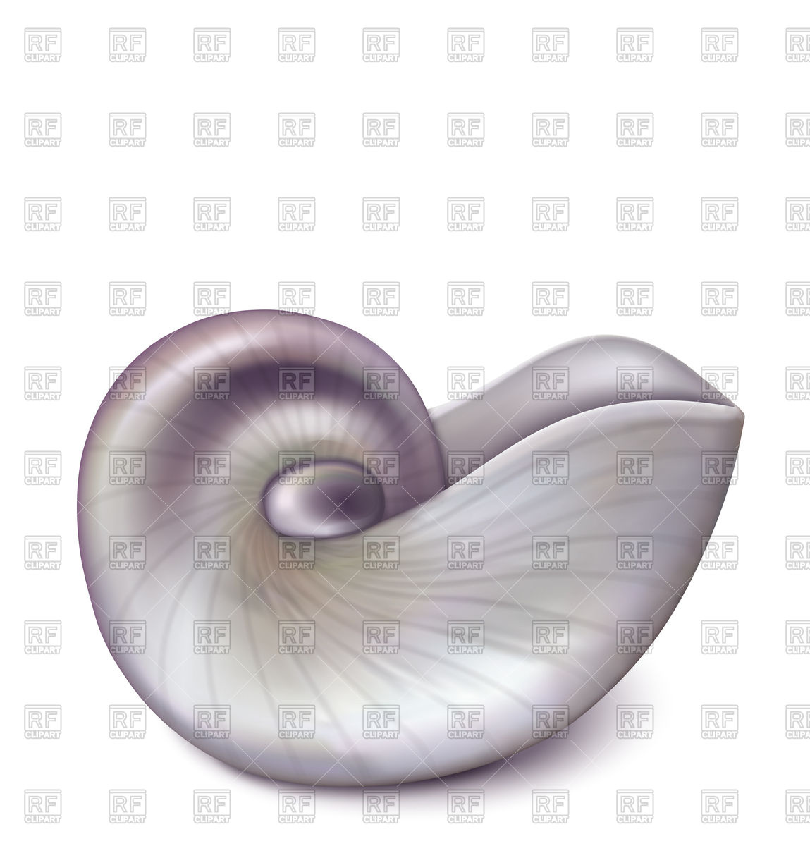 1149x1200 Nautilus Sea Shell Vector Image Of Plants And Animals Olliven