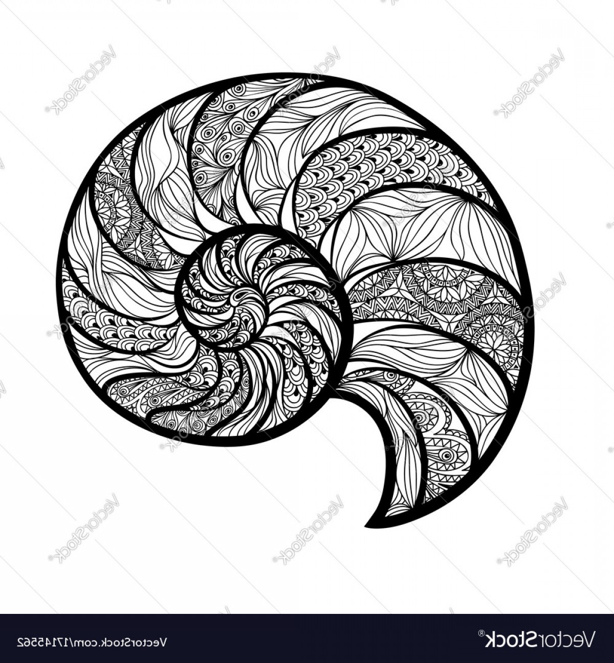 1200x1296 Seashell Nautilus Spiral Pattern Wave Nautilus Vector Soidergi