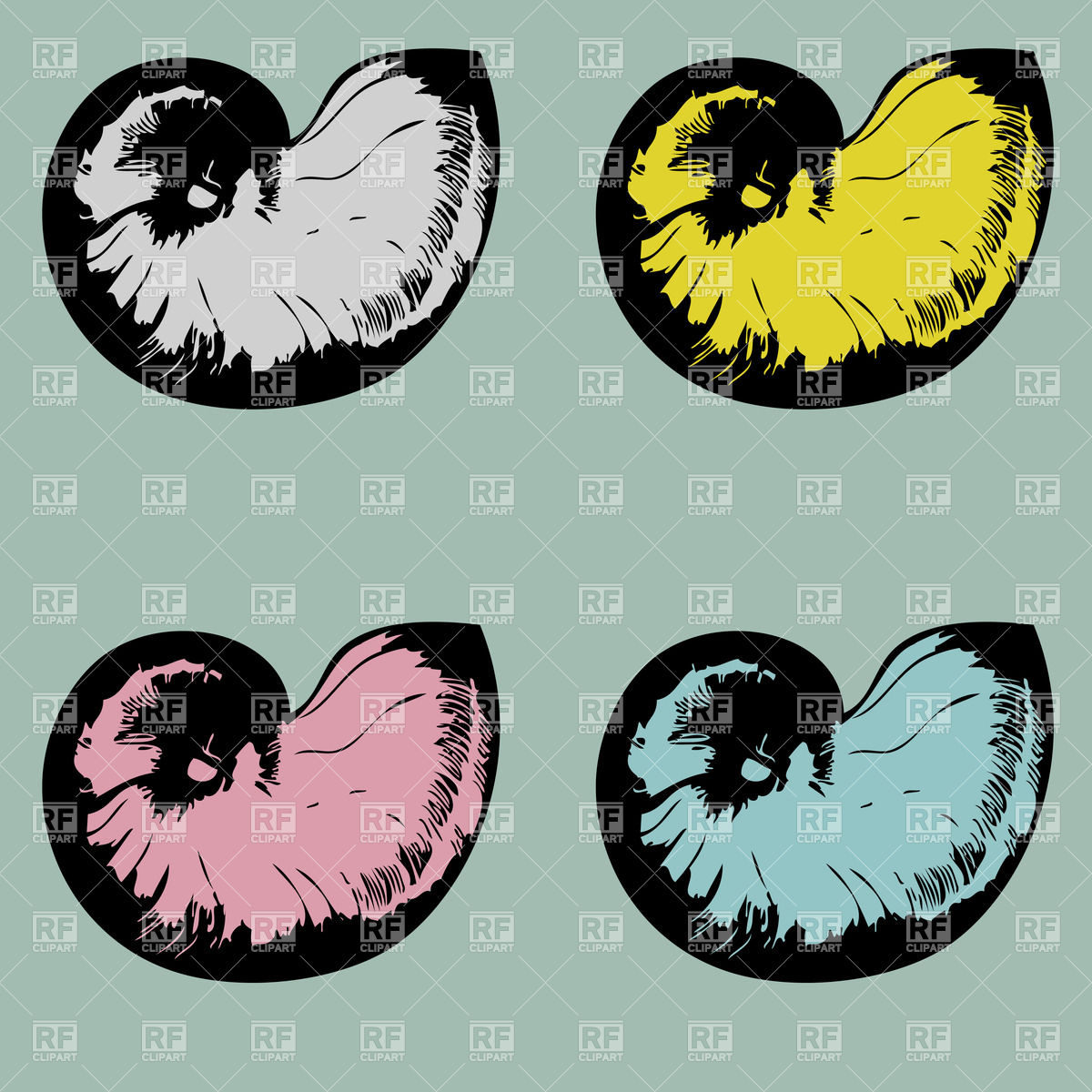 1200x1200 Spiral Seashell