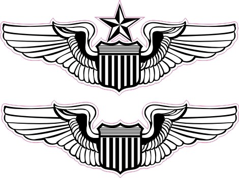 Naval Aviator Wings Vector