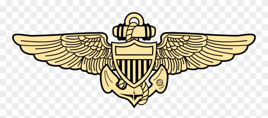 880x388 Naval Aviation Insignia