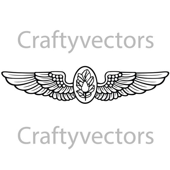 570x570 Navy Flight Surgeon Insignia Vector Etsy