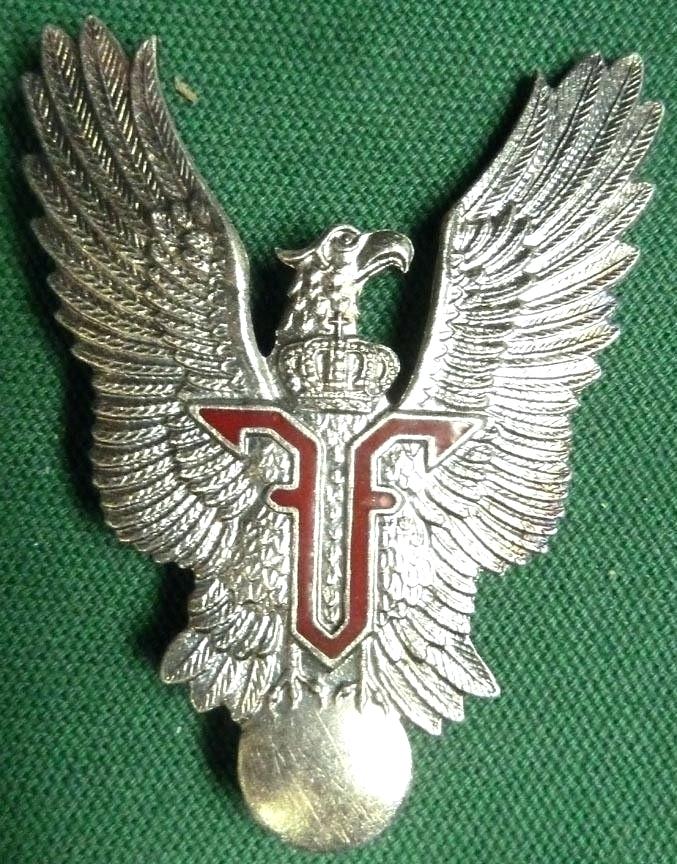 677x864 Aviator Wings Flight Wings Vector Aviator Wings Patch